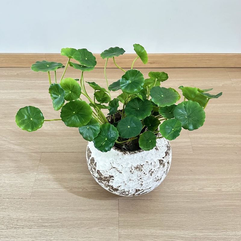 Bonsai Garden Wall - 2pcs Artificial Pilea Peperomioides Bonsai Fake