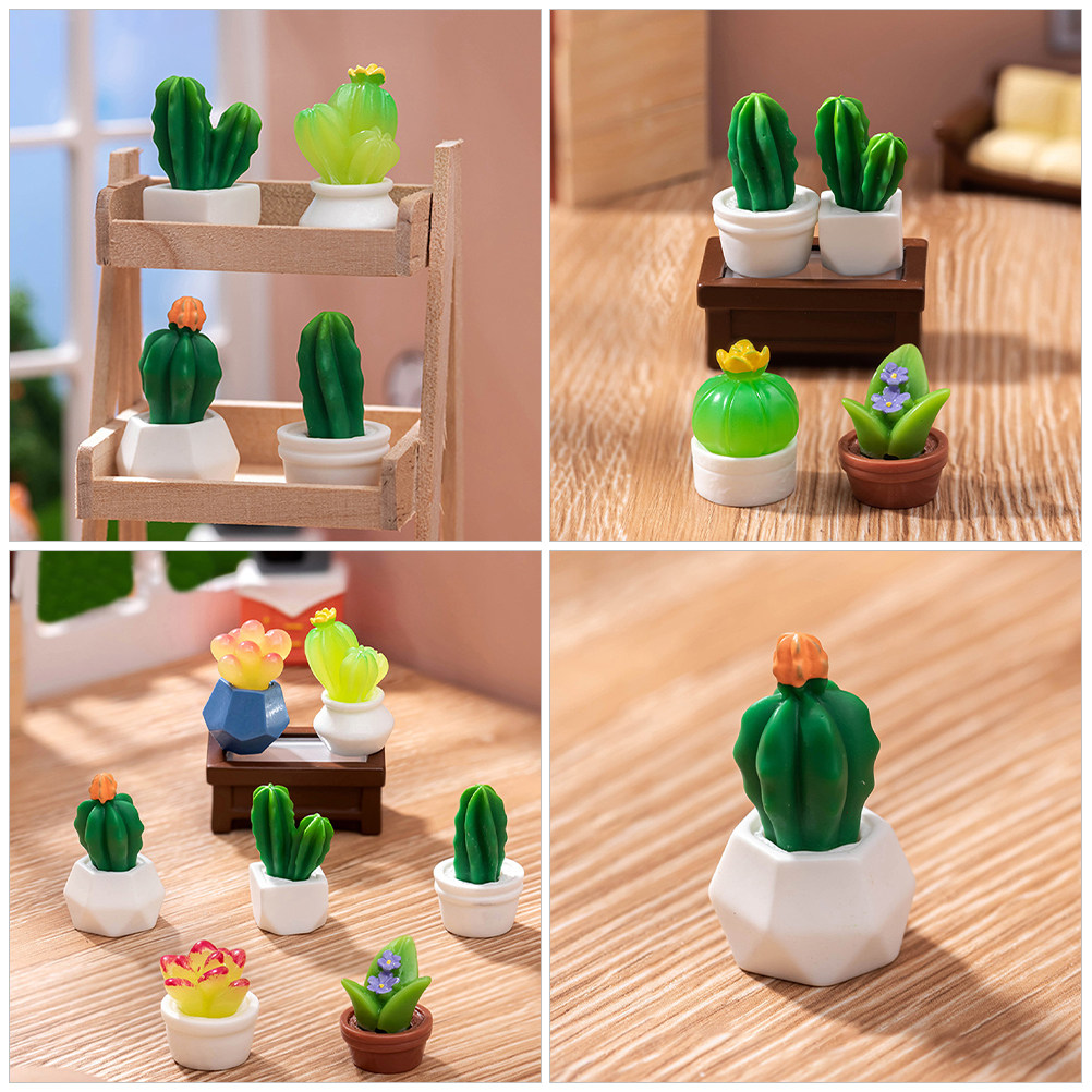 8Pcs Miniature Resin Cactus Bo - đánh giá và giá Bonsai Garden For Desk