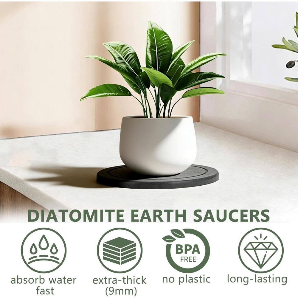 3Pcs/Set Diatomaceous Earth Pl - đánh giá và giá Drip Tray Saucer