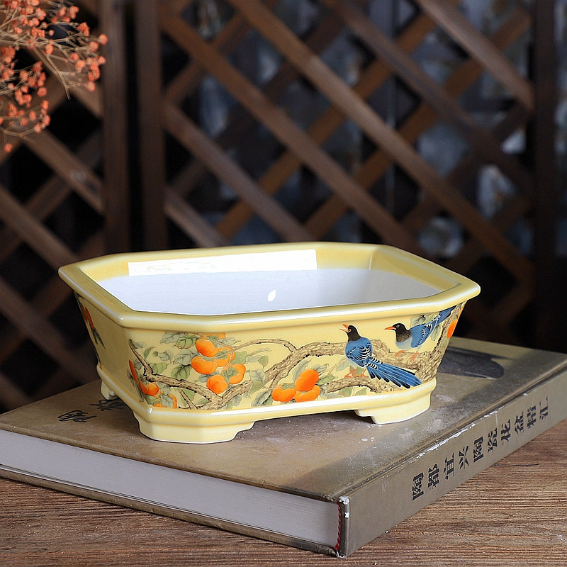 Porcelain Rectangle Bonsai Pot - đánh giá và giá Bonsai Garden Chinese Garden