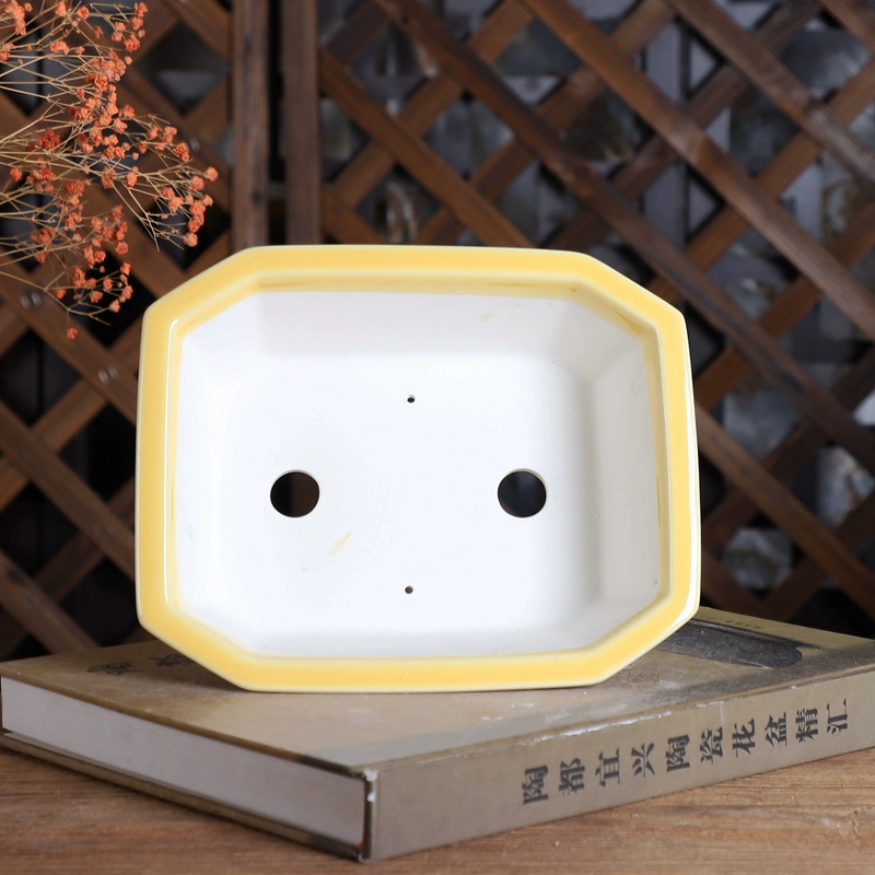 Porcelain Rectangle Bonsai Pot - đánh giá và giá Bonsai Garden Chinese Garden