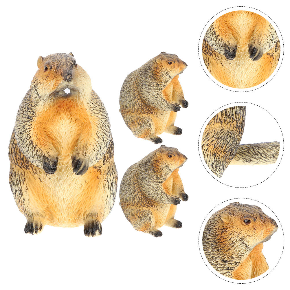 3Pcs Miniature Groundhog Statu - đánh giá và giá Bonsai Garden For Desk