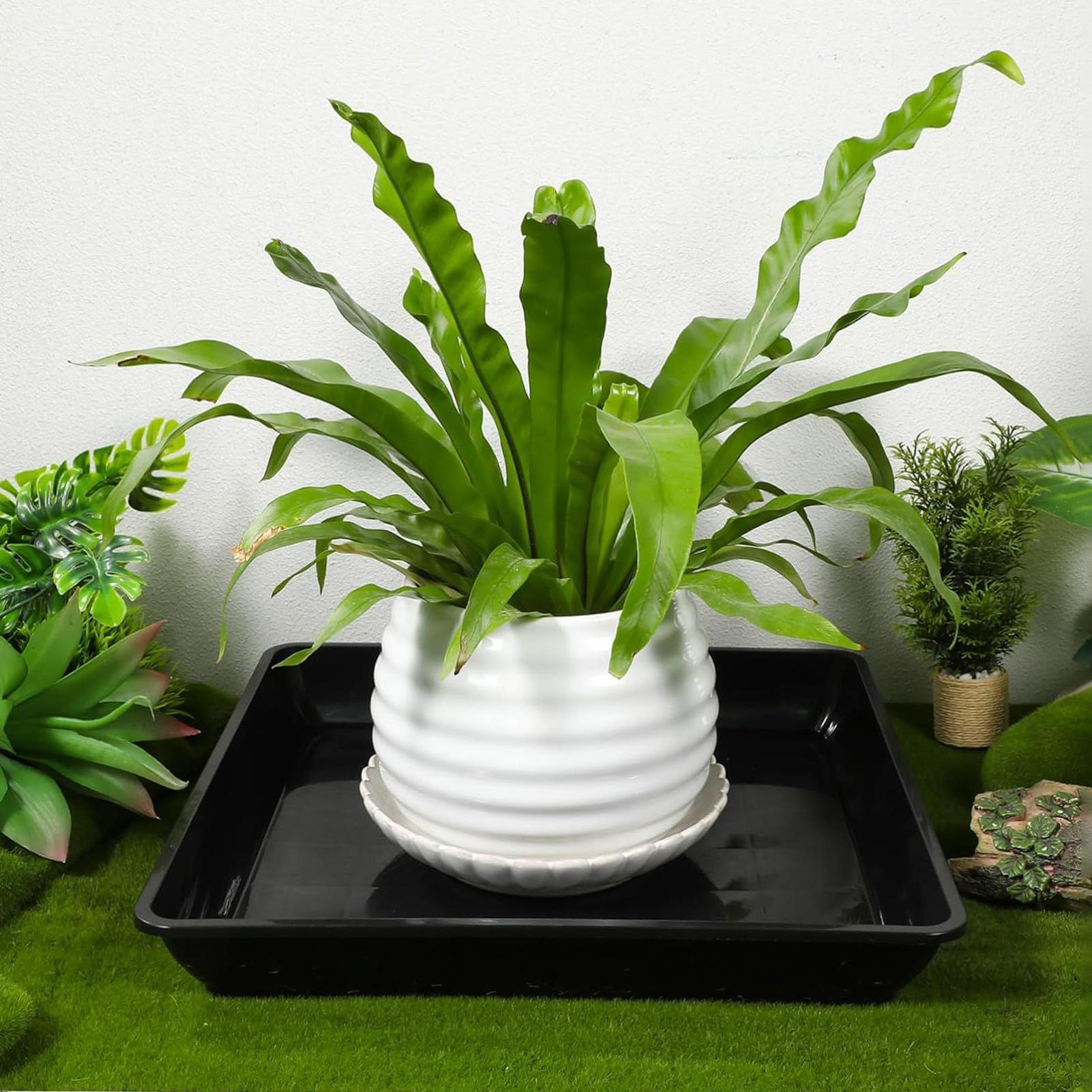 2 Pcs Flower Pot Base Thickene - đánh giá và giá Drip Tray Saucer