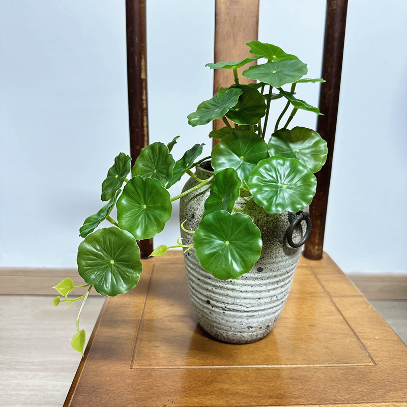2pcs Artificial Pilea Peperomi - đánh giá và giá Bonsai Garden Wall