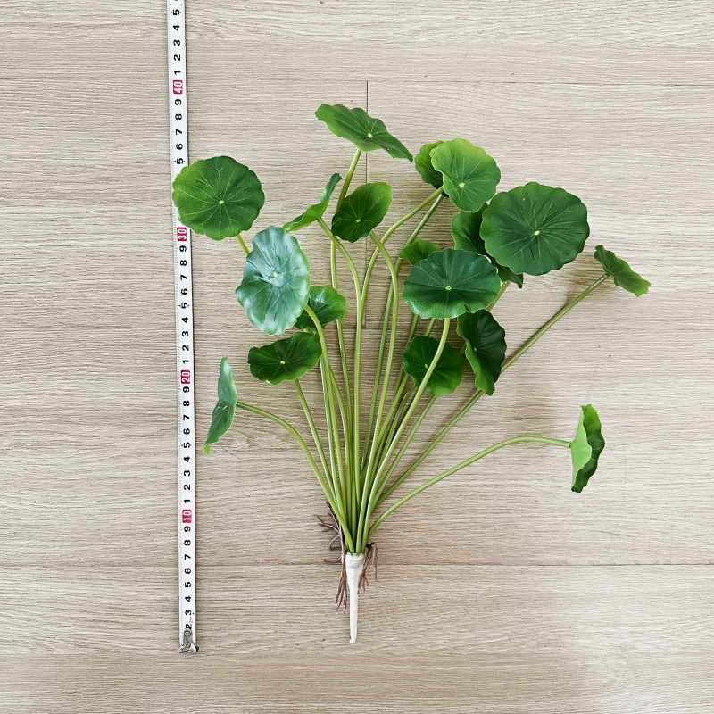 2pcs Artificial Pilea Peperomi - đánh giá và giá Bonsai Garden Wall