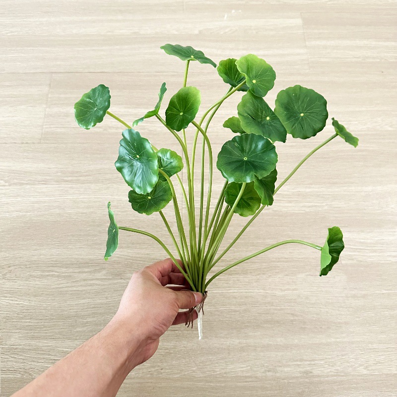 2pcs Artificial Pilea Peperomi - đánh giá và giá Bonsai Garden Wall