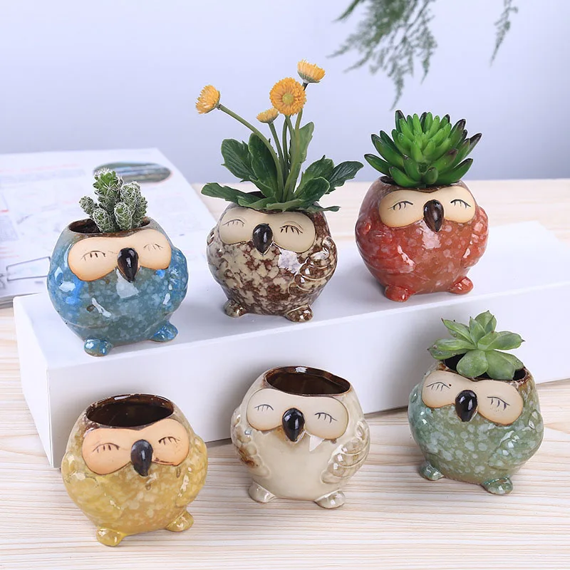 Mini Ceramic Owl Succulent Pla - đánh giá và giá Bonsai Garden Wall